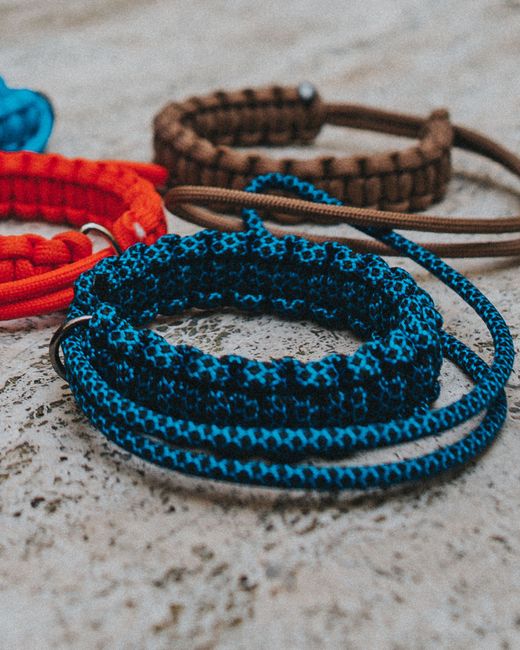 Top 10 SafetyCollar Features for Ultimate Pet Security